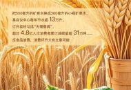 尺素金声丨一年损耗浪费食物4.6亿吨，反食品浪费从小事做起